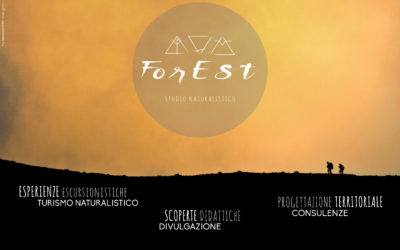 Benvenuti sul sito di ForEst!