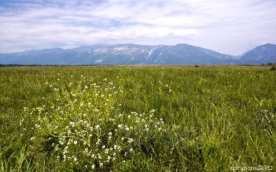 Magredi, le Steppe friulane