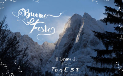 Buone Feste dal team di ForEst!