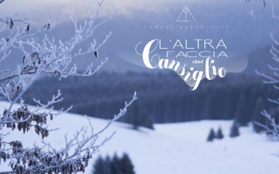 Ultima ciaspolata nei Boschi del Cansiglio: Racconto dell’Esperienza