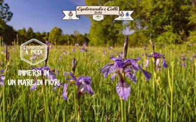 Tra i Prati di Col San Floreano: Racconto dell’Esperienza