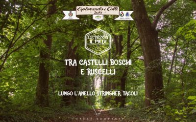 L’Anello Stringher-Tacoli: Racconto dell’Esperienza
