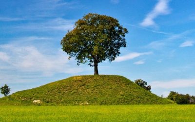Benvenuto Aprile: in arrivo alcune novità!