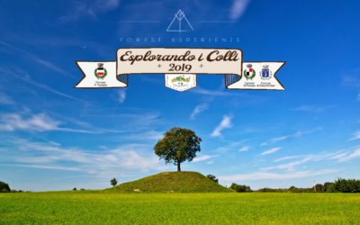 Una primavera Esplorando i Colli!