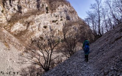 Escursione attorno al Col del Sole: Foto-racconto dell’Esperienza