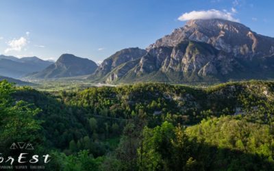 Sulla Rupe di Cesclans: Racconto dell’Esperienza