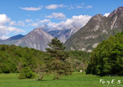 praterie di cesclans falnor nelle prealpi carniche