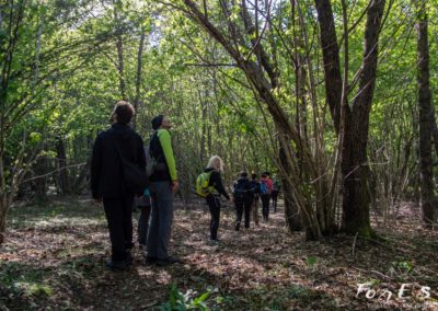 camminando nei boschi durante un'escursione con guida naturalistica