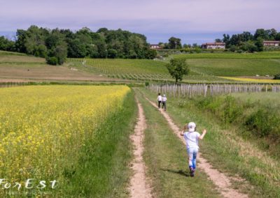 laboratorio didattico e passeggiata per bambini a santa margherita del gruagno tra le colline moreniche