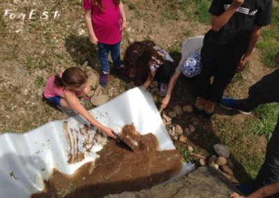 laboratorio didattico e passeggiata per bambini a santa margherita del gruagno tra le colline moreniche
