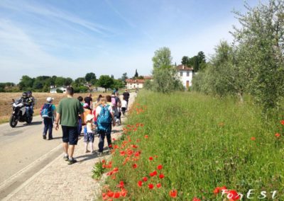 laboratorio didattico e passeggiata per bambini a santa margherita del gruagno tra le colline moreniche