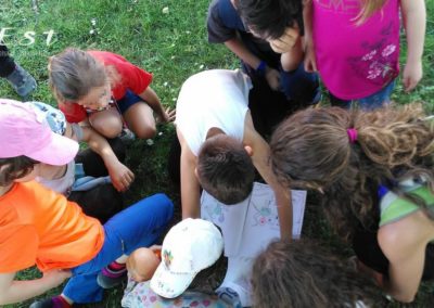 laboratorio didattico e passeggiata per bambini a santa margherita del gruagno tra le colline moreniche