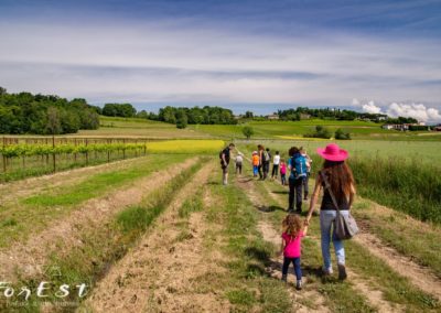 laboratorio didattico e passeggiata per bambini a santa margherita del gruagno tra le colline moreniche