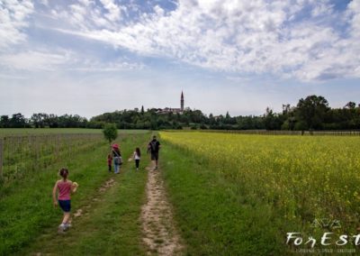 laboratorio didattico e passeggiata per bambini a santa margherita del gruagno tra le colline moreniche