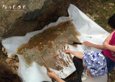 laboratorio didattico e passeggiata per bambini a santa margherita del gruagno tra le colline moreniche
