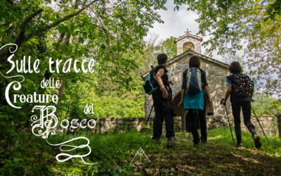 Anello delle Krivapete di Rodda: Racconto dell’Esperienza