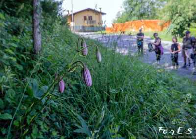 escursione guidata tra le colline moreniche del friuli venezia giulia