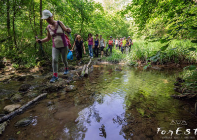 escursione guidata tra le colline moreniche del friuli venezia giulia