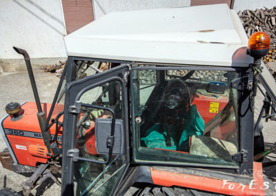 escursione guidata tra le colline moreniche del friuli venezia giulia