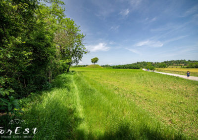 escursione guidata tra le colline moreniche del friuli venezia giulia