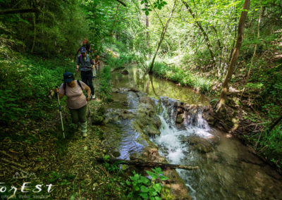 Escursione naturalistica guidata a piedi tra le colline moreniche lungo il sentiero Stringher Tacoli tra Moruzzo e Villalta di Fagagna