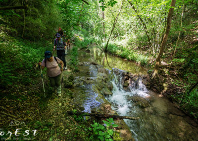 Escursione naturalistica guidata a piedi tra le colline moreniche lungo il sentiero Stringher Tacoli tra Moruzzo e Villalta di Fagagna