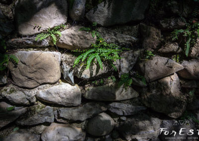 escursione guidata tra le colline moreniche del friuli venezia giulia