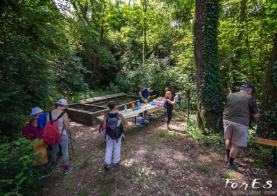 escursione guidata tra le colline moreniche del friuli venezia giulia