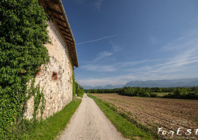 escursione guidata tra le colline moreniche del friuli venezia giulia