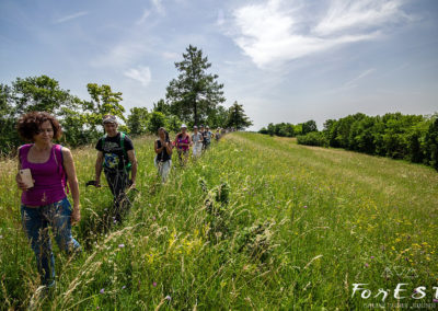 escursione guidata tra le colline moreniche del friuli venezia giulia