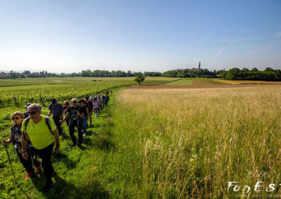 escursione guidata tra le colline moreniche del friuli venezia giulia