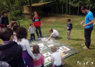 Escursione naturalistica guidata per famiglie all'Oasi dei Quadris di Fagagna