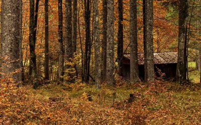 Battute conclusive per l’Autunno!