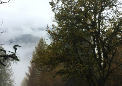 Incredibili mondi tra la nebbia