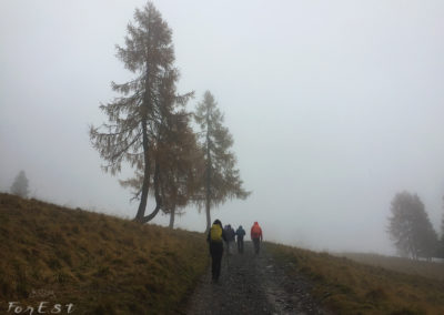 La salita nella nebbia alla Sella Festons