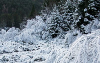 Accogliamo l’Inverno… in pieno stile ForEst!
