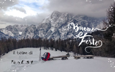 Le avventure del tempo di Natale! – Racconto delle Esperienze