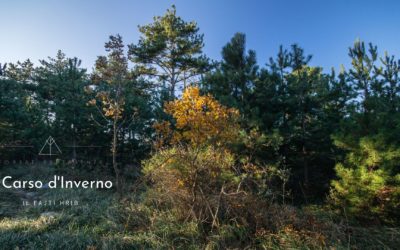 Su e giù per il Fajti Hrib – Racconto dell’Esperienza