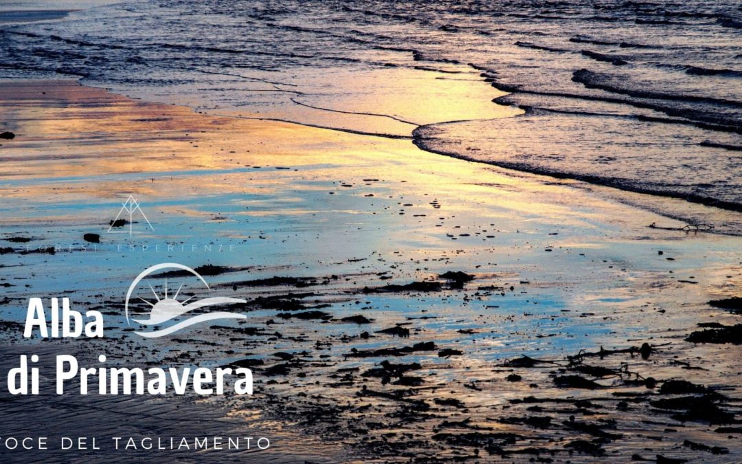 Alba di Primavera alla Foce del Tagliamento