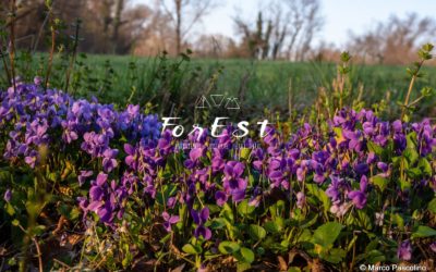 For Est Therapy – Newsletter #5
