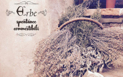 Alla ricerca delle erbe selvatiche – prima parte