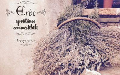 Alla ricerca delle erbe selvatiche – terza parte