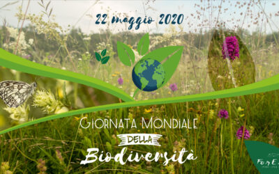 Biodiversità e pastorizia