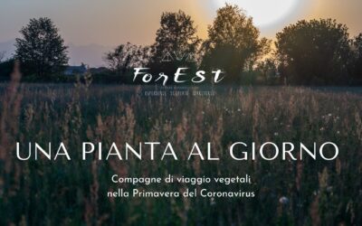 Una Pianta al Giorno – PDF gratuito on-line!