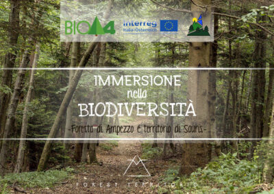 Ciclo escursioni ampezzo sauris biodiversità della foresta con ForEst Studio Naturalistico