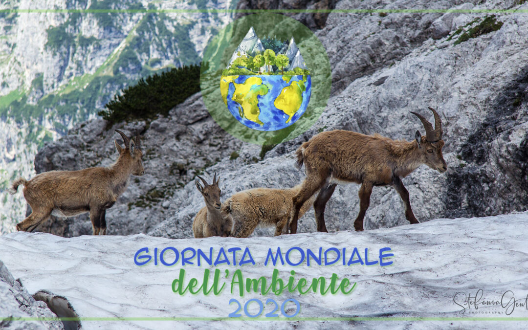 Un focus sulla Biodiversità faunistica in Friuli Venezia Giulia