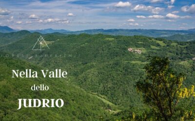 Strade e sentieri nella Valle dello Judrio