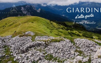 Tra boschi e praterie – Salita sul monte Tersadia