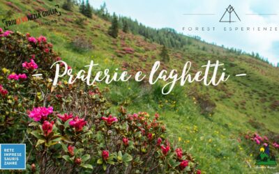 Tra praterie alpine e laghetti di Festons