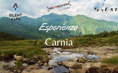 Passeggiata per famiglie alla cascata Plera